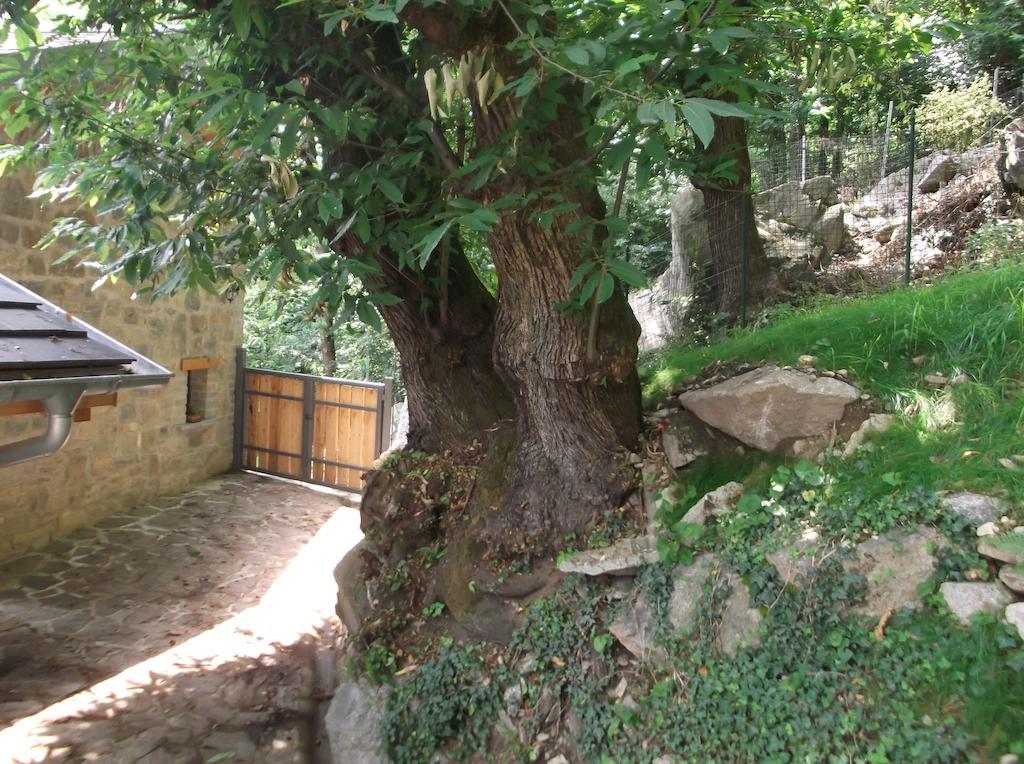 Agriturismo Ai Ronchi Сорико Екстериор снимка