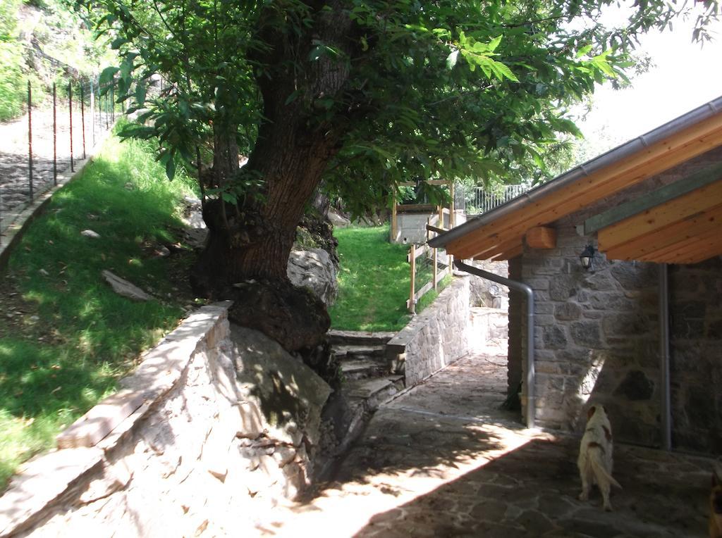 Agriturismo Ai Ronchi Сорико Екстериор снимка